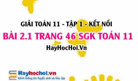 Giải bài 2.1 trang 46 Toán 11 tập 1 SGK Kết nối tri thức